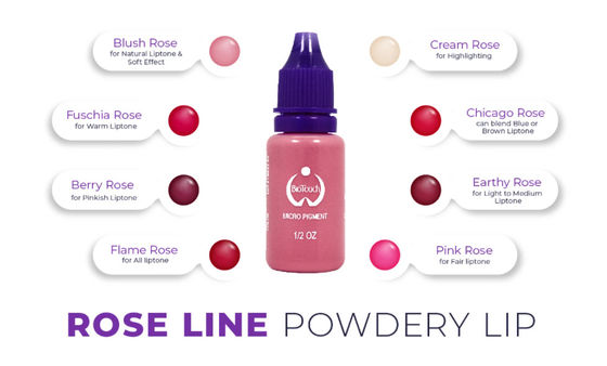Biotouch Micro Pigment Rose Pigment Color Makijaż permanentny Microblading Materiały do ​​cieniowania brwi MikrGel polishgmentacja