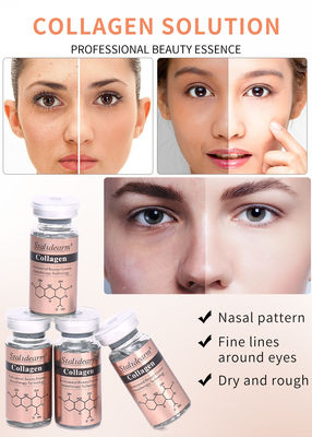 10 ml Private Label Stalidearm Anti-Aging Tighten Peptides Kolagen Aloe Essence Facial Whitening Serum przeciwzmarszczkom