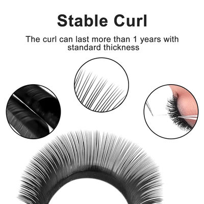 YY Rozszerzenia włosów CC/D/DD Kręgosłup 0,10 mm Grubość Objętość Rozszerzenie 8-14 mm Długotrwałe Matte Black False Lashes