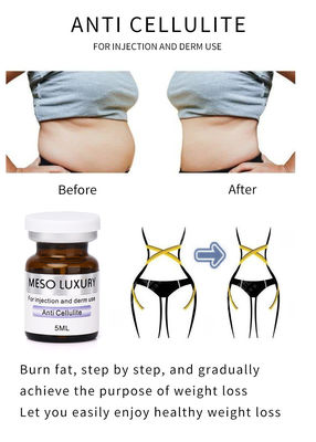 Anti-cellulit Mezoterapia Esencja odchudzająca Utrata masy ciała Brzuch Spalanie tłuszczu Ekzosomy Serum