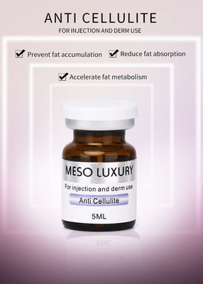 Anti-cellulit Mezoterapia Esencja odchudzająca Utrata masy ciała Brzuch Spalanie tłuszczu Ekzosomy Serum