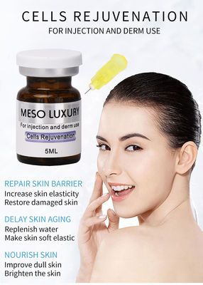 Derma Wstrzykiwacz Serum Ekzosom Wstrzykiwacz Komórki Odmłodzenie MESO LUXURY Mezoterapia