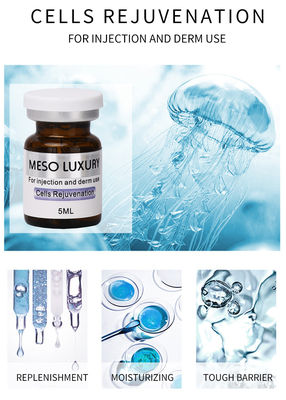 Derma Wstrzykiwacz Serum Ekzosom Wstrzykiwacz Komórki Odmłodzenie MESO LUXURY Mezoterapia