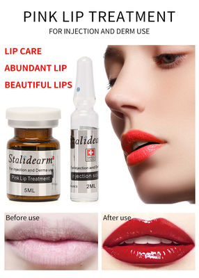 Stalideram Brand Pink Lip Injection Treatment Serum Derma Microneedling Mezoterapia Lip Repair Essence