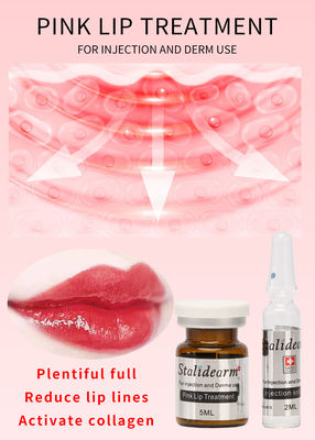 Stalideram Brand Pink Lip Injection Treatment Serum Derma Microneedling Mezoterapia Lip Repair Essence